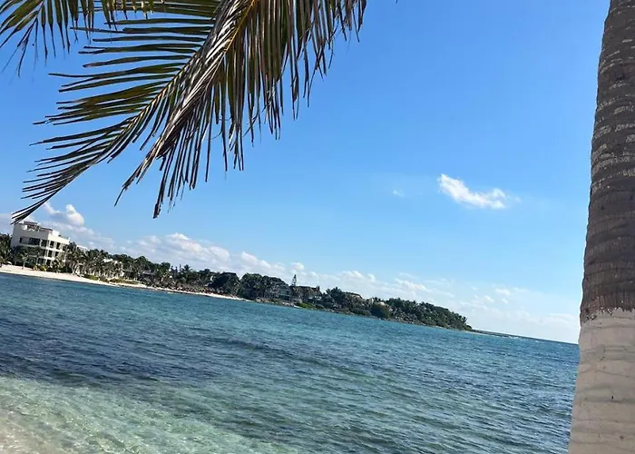 Authentic Near 5th Avenue Playa del Carmen
